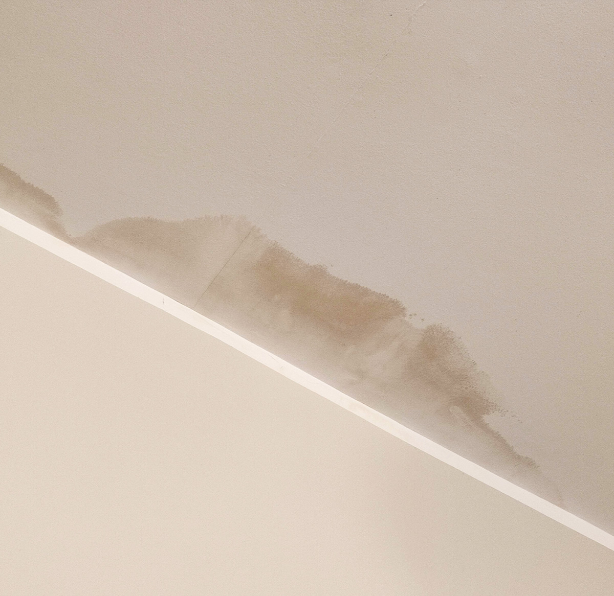Nasse Wand durch einen Wasserschaden in Frankfurt